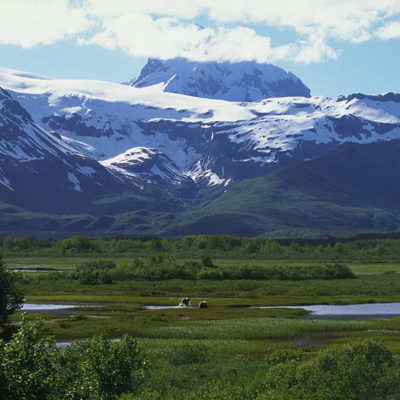 <h2>Alaska beauty</h2>
<p>Grizzly bears see some of the finest scenery in the world.
</p>