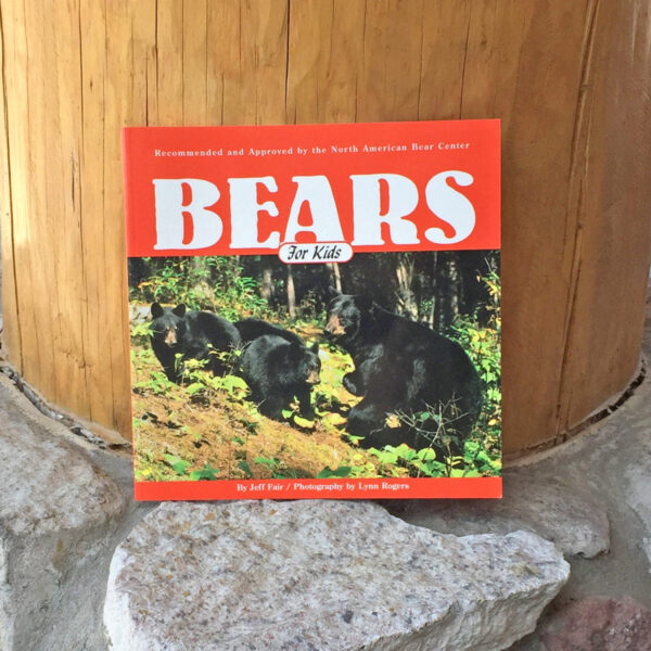 Bears for Kids book