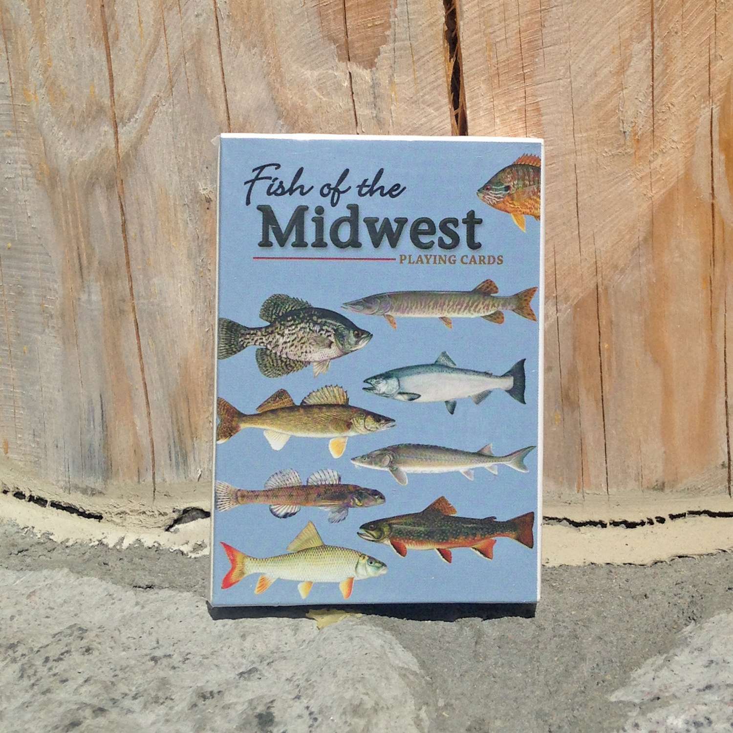 https://store.bear.org/wp-content/uploads/2018/11/fish-of-midwest-cards.jpg
