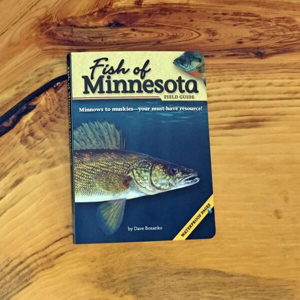 Fish of Minnesota book.