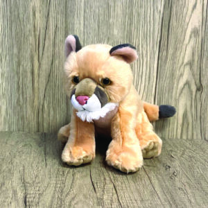 Mini Mountain Lion
