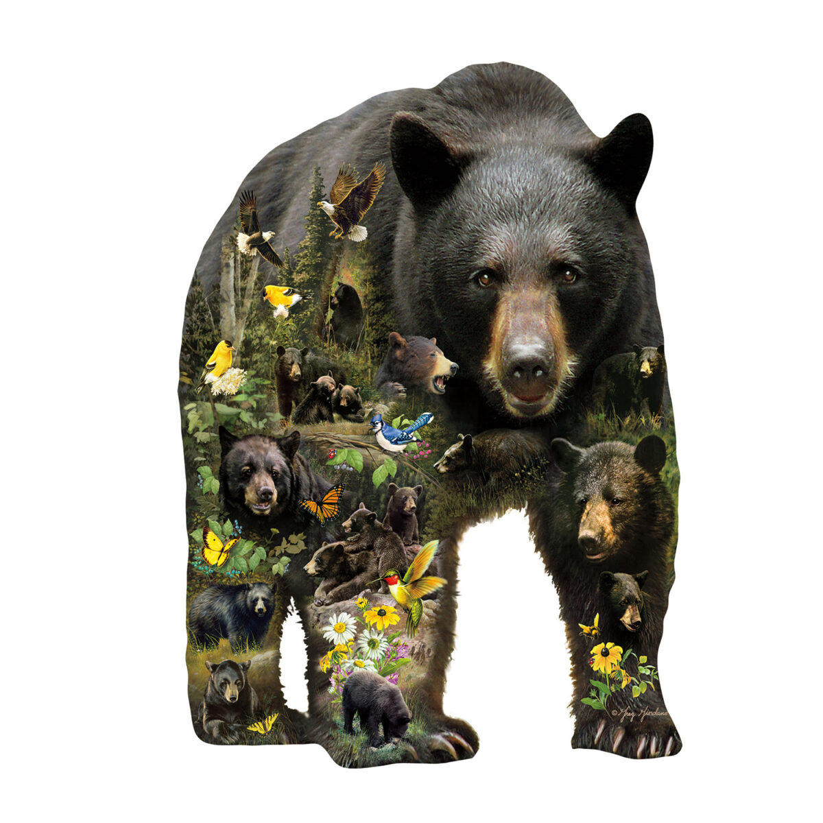 Forest Bear Puzzle 1000pc