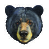 I AM BEAR 300pc - Image 3