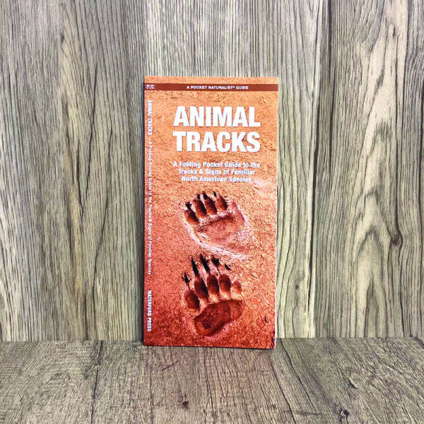 Animal Tracks Guide