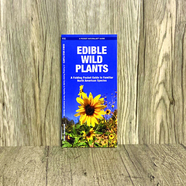 Edible Wild Plants