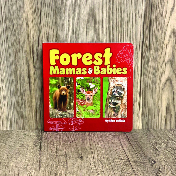Forest Mama & Babies