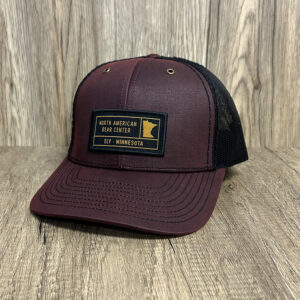 Burgundy Hat