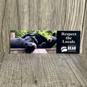 Cubs Bumper Sticker