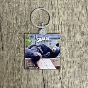 Keychain Cubs