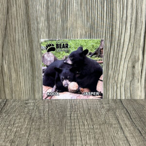 Sticker Cubs